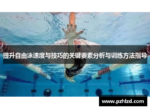 提升自由泳速度与技巧的关键要素分析与训练方法指导