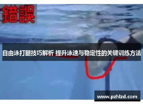 自由泳打腿技巧解析 提升泳速与稳定性的关键训练方法